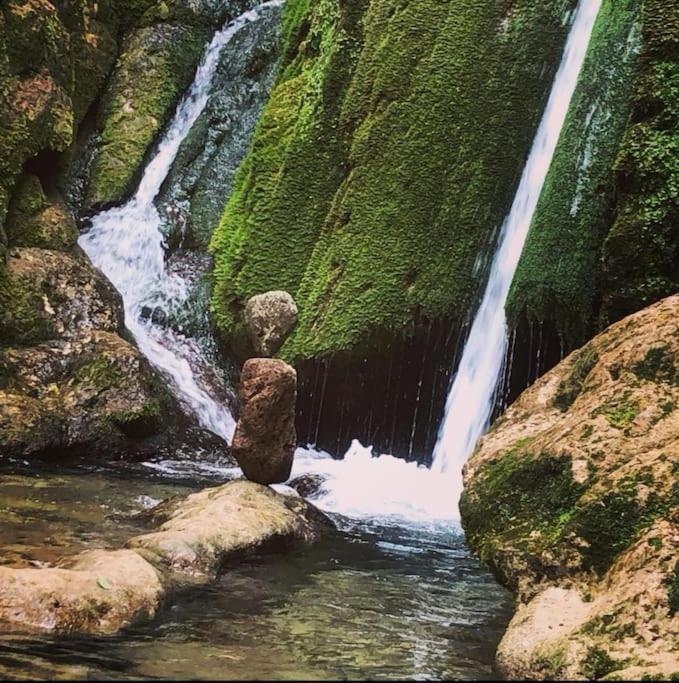 Maison Chaleureuse En Ariege Roquefort-Les-Cascades Extérieur photo